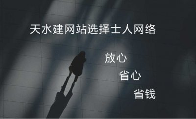 天水网站建设公司为什么要选择士人网络公司建